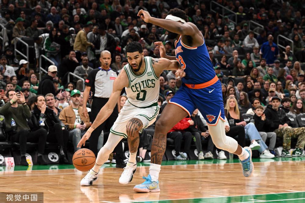 他们不仅提 他们不仅提